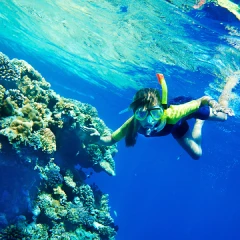 Diving / snorkeling